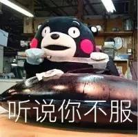 sat考试满分能够进什么学校,没有sat成绩能申校吗