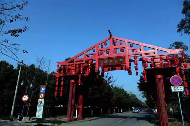 小长假来一场茶之旅,带茶叶旅游攻略