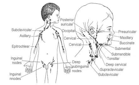 反复肚子痛≠吃打虫药
