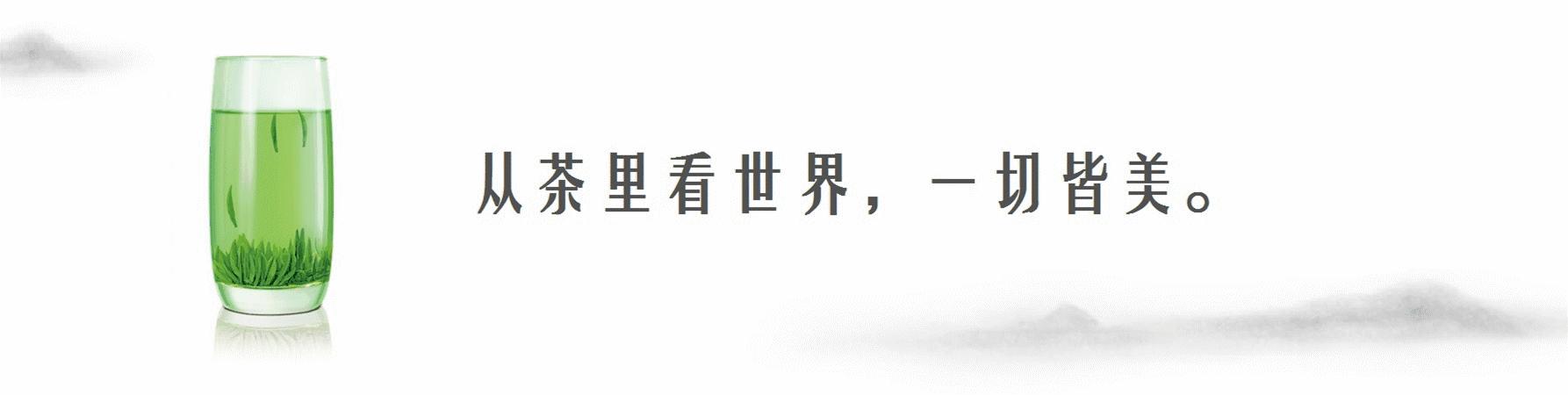 小长假来一场茶之旅,带茶叶旅游攻略