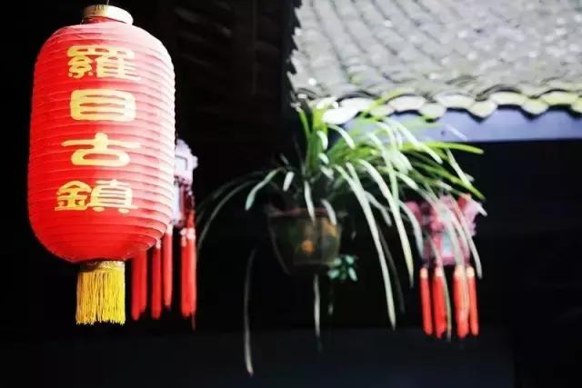 小长假来一场茶之旅,带茶叶旅游攻略