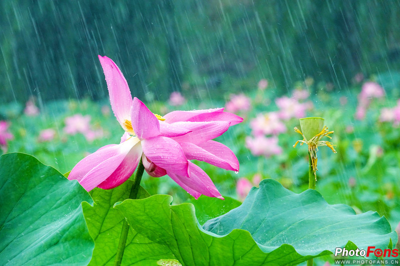 索尼黑卡长焦rx10m4技术参数,索尼超长焦黑卡rx10iii