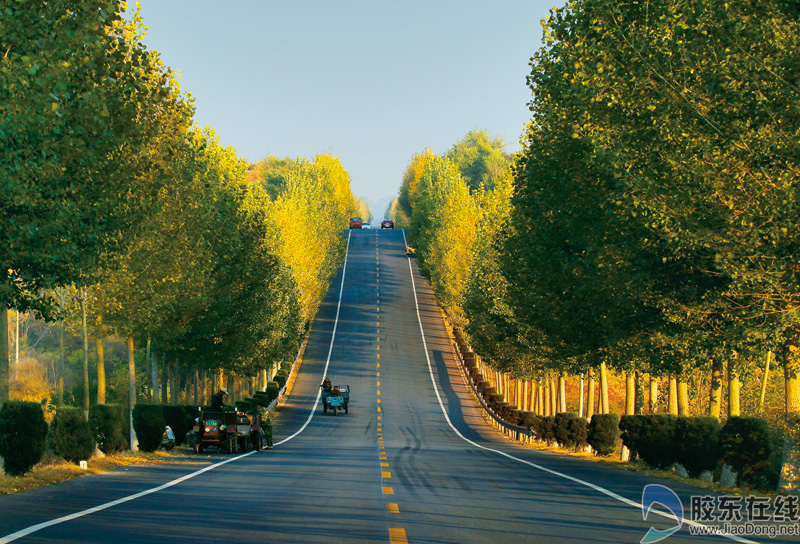 绿色人人共享邀你随手拍“烟台城市的一抹绿”