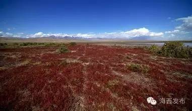 不羡鸳鸯不羡仙是哪首歌曲里的,青山绿水彩云间不羡鸳鸯不羡仙