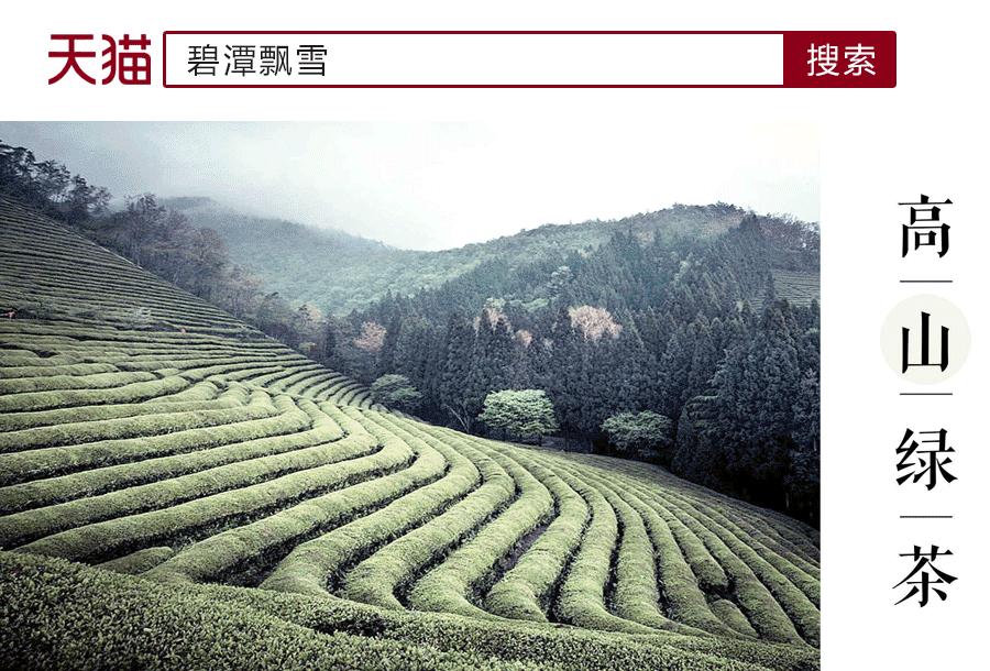 寻“谧”夏花深处|碧潭飘雪，茉莉花开庭院深