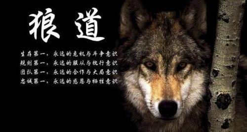 月薪5万的运营技巧有哪些,一个月薪五万的运营是怎么工作的