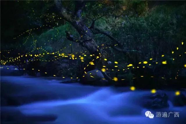 广西乐业出现神秘萤火之光，堪比美国大片！
