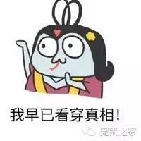 合适学生养的1元宠物,双鱼座合适养什么宠物