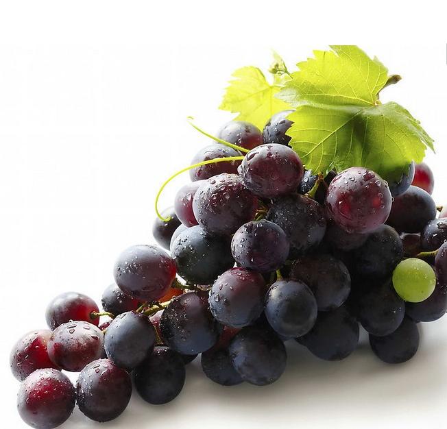 你不知道的葡萄酒有趣的冷知识,葡萄的营养功效和功能