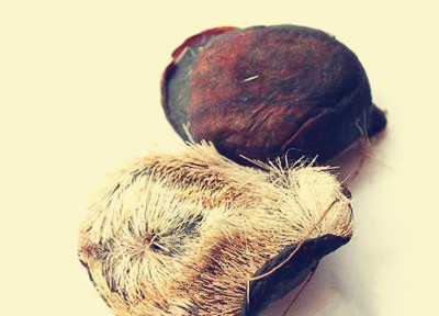 甄嬛传里治疗疤痕的药,甄嬛传中药片段