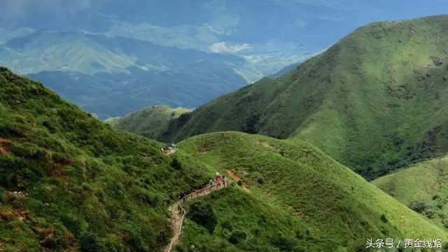 广东的绿宝石,广东绿宝石