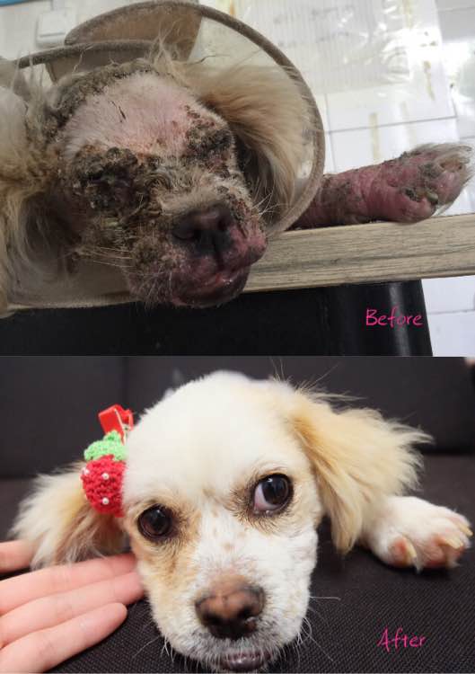 虽然你像怪物，但是我们也会伸出援手