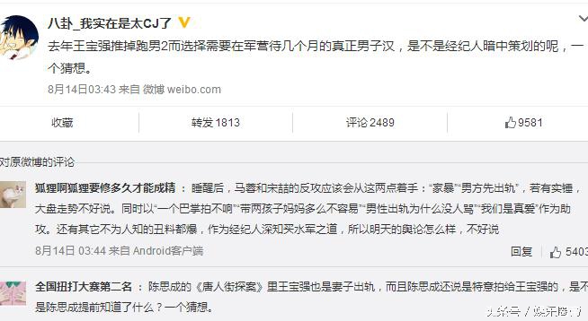 王宝强事件全过程解析,王宝强事件最新最全整理