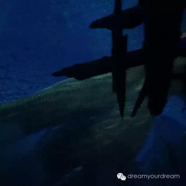 迪士尼世界好玩吗,迪士尼好玩吗真实评价