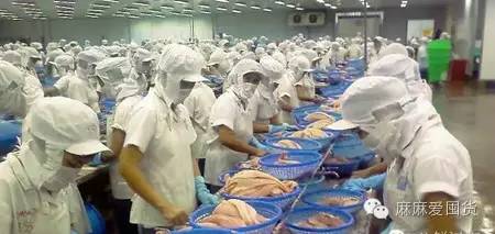 别买错了这9种鱼最合适宝宝吃,什么鱼合适宝宝吃没有刺