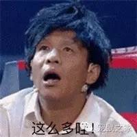 合适学生养的1元宠物,双鱼座合适养什么宠物