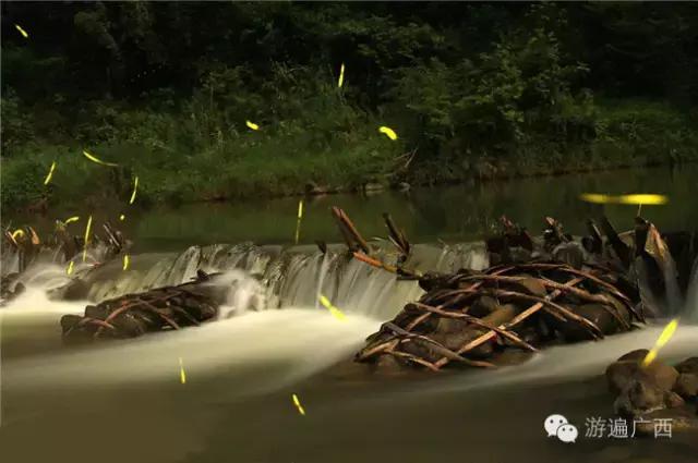 广西乐业出现神秘萤火之光，堪比美国大片！