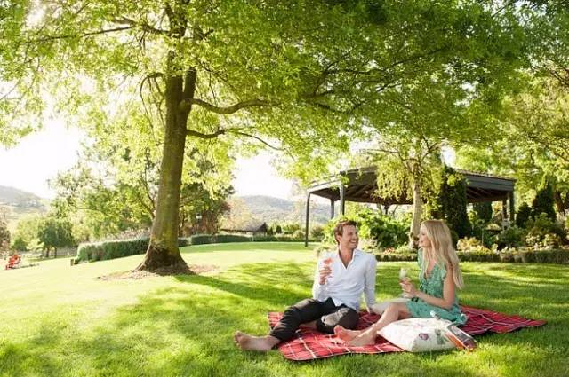 是什么让40000华人把澳洲药房搬空？甚至连仓库也不放过！