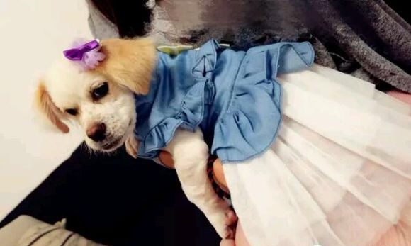 虽然你像怪物，但是我们也会伸出援手