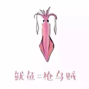 墨鱼乌贼章鱼鱿鱼到底有什么区别,一张图鱿鱼章鱼八爪鱼墨鱼的区别