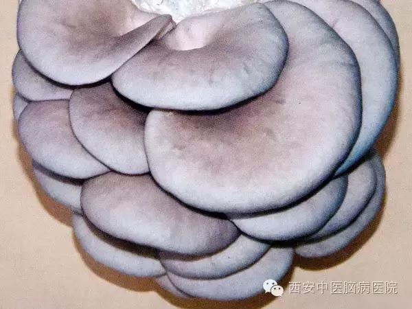 中医中的抗生素有哪些,中医行家推荐的消炎药
