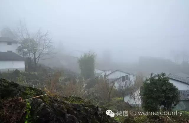 中国惊现桃花源！20户人与世隔绝美国人为其捐款通电