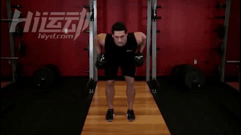 哑铃天天练还是隔天练增肌效果好,哑铃全身增肌锻炼最全完全版