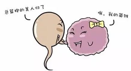 试管婴儿告捷率大揭秘,试管婴儿流程大揭秘