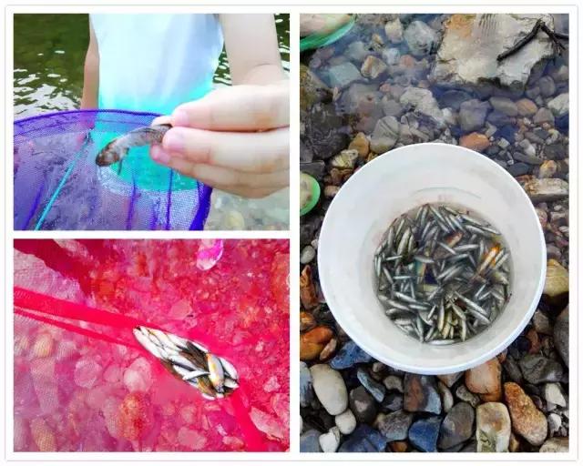 逍遥游三清山,三清山逍遥谷两天一夜游