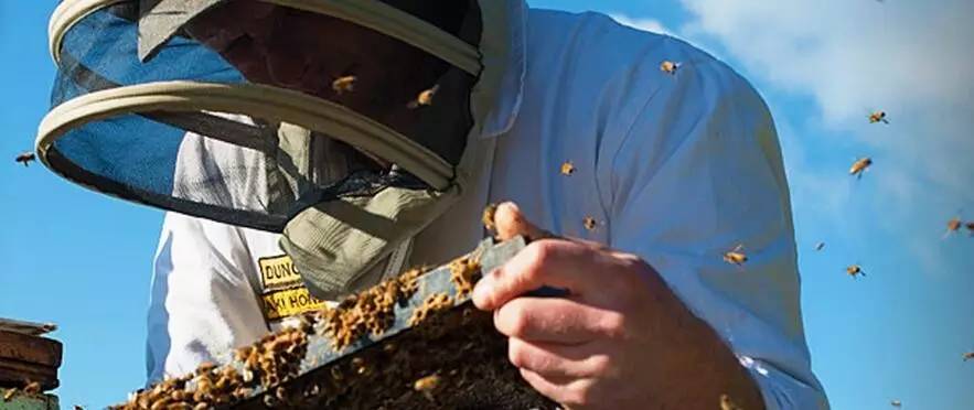 老中医蜂蜜系列,老中医秘制蜂蜜