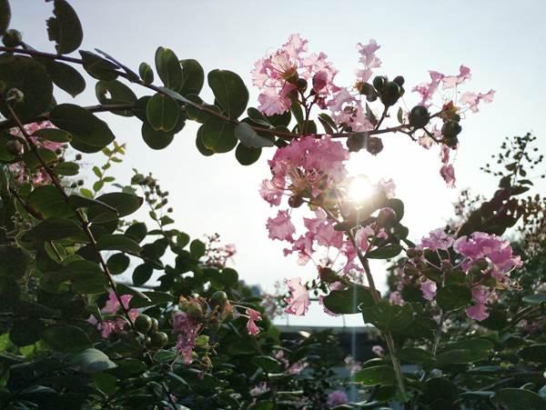 360q5plus用户体验,360q5plus使用