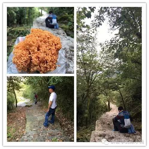 螺髻山风景区攻略,螺髻山哪些景点好