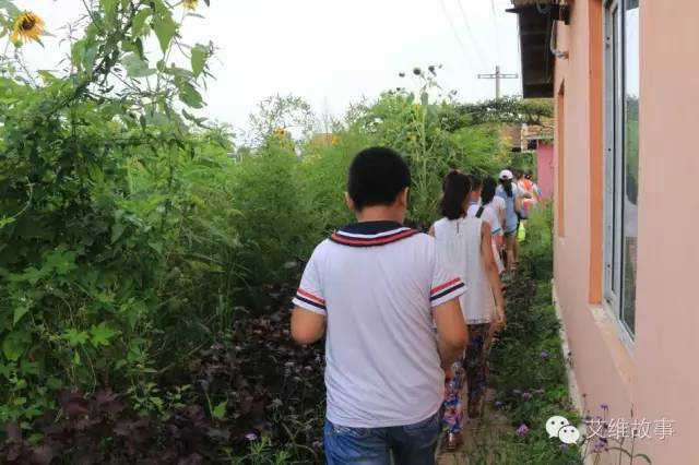 神奇大观园——农场变形记