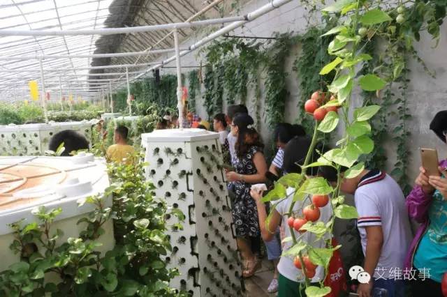 神奇大观园——农场变形记