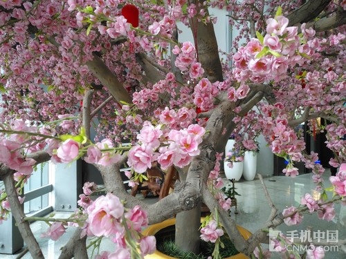 华为g9plus体验,华为g9plus对比华为g9有什么区别