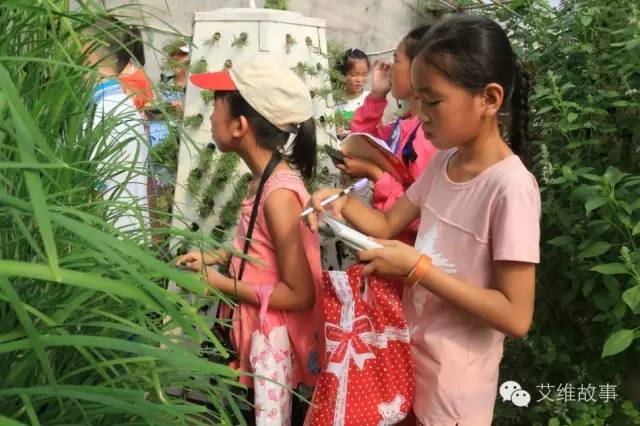 神奇大观园——农场变形记