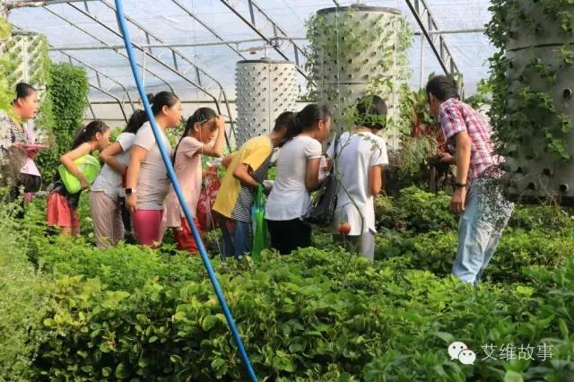 神奇大观园——农场变形记