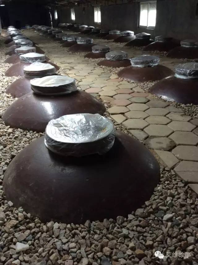 神奇大观园——农场变形记