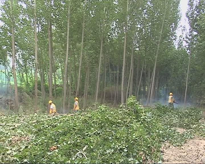 个人原因坐火车晚点了怎么办,坐高铁火车总是晚点代表什么