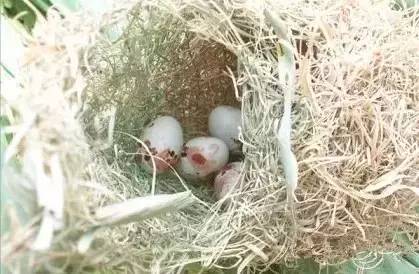 没有空调的年代是怎么活的,在没有空调的年代如何度过夏天的