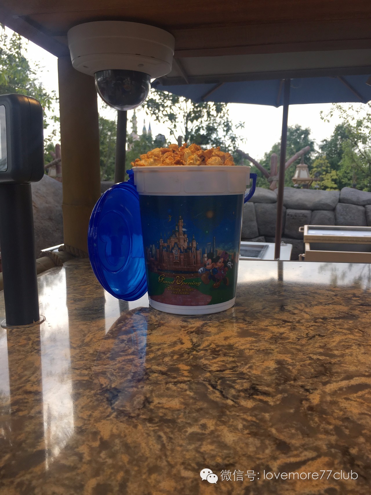 这才是真相！独家揭秘上海迪士尼乐园餐单~最全的disney美食全攻略！文末米奇米妮大礼送