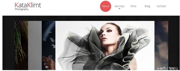 bootstrap响应式网站设计免费模板,bootstrapcss模板下载