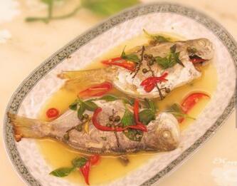 白鲳鱼和肉鲳鱼,白鲳鱼和肉鲳鱼哪种好