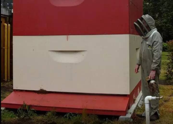 老中医蜂蜜系列,老中医秘制蜂蜜