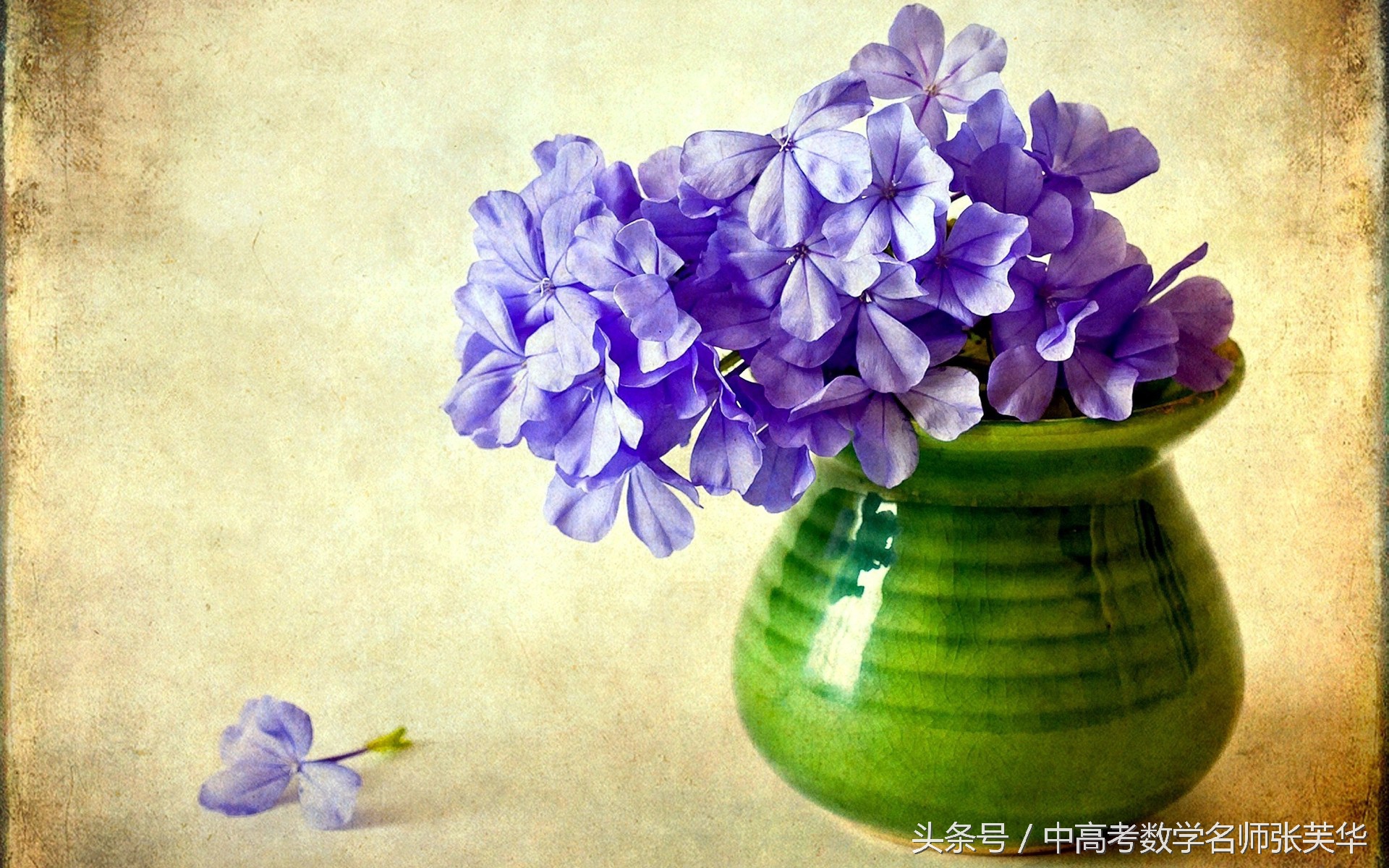 数形结合思想在小学中的应用,数形结合用面积求点坐标视频