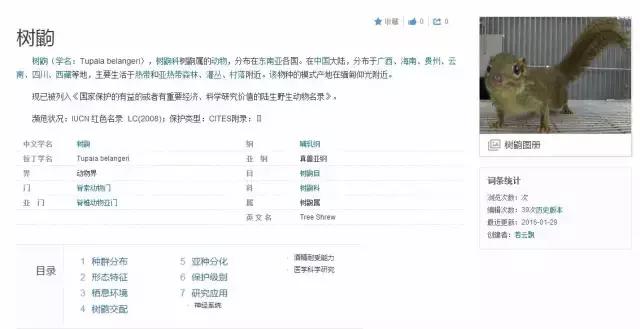 迷茫的时候静静下心来好好学习,哪些话能够让人摆脱负能量和迷茫