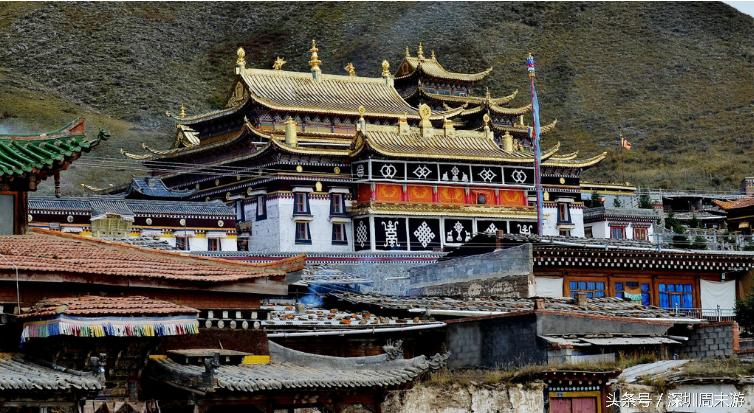 阿坝州川西北大草原,川西北若尔盖地区