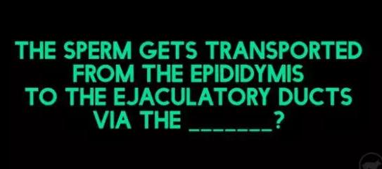 老司机参加考试,老司机考试评判标准