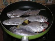 白鲳鱼和肉鲳鱼,白鲳鱼和肉鲳鱼哪种好