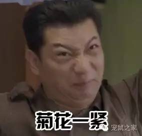 合适学生养的1元宠物,双鱼座合适养什么宠物